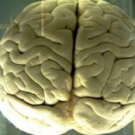 Wyciągnijmy HR z formaliny