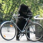 Oporna nauka. Co zrobić, gdy pracownicy nie chcą się szkolić?