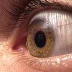 Mikroekspresje – makrowrażenie, czyli czy te oczy mogą kłamać?